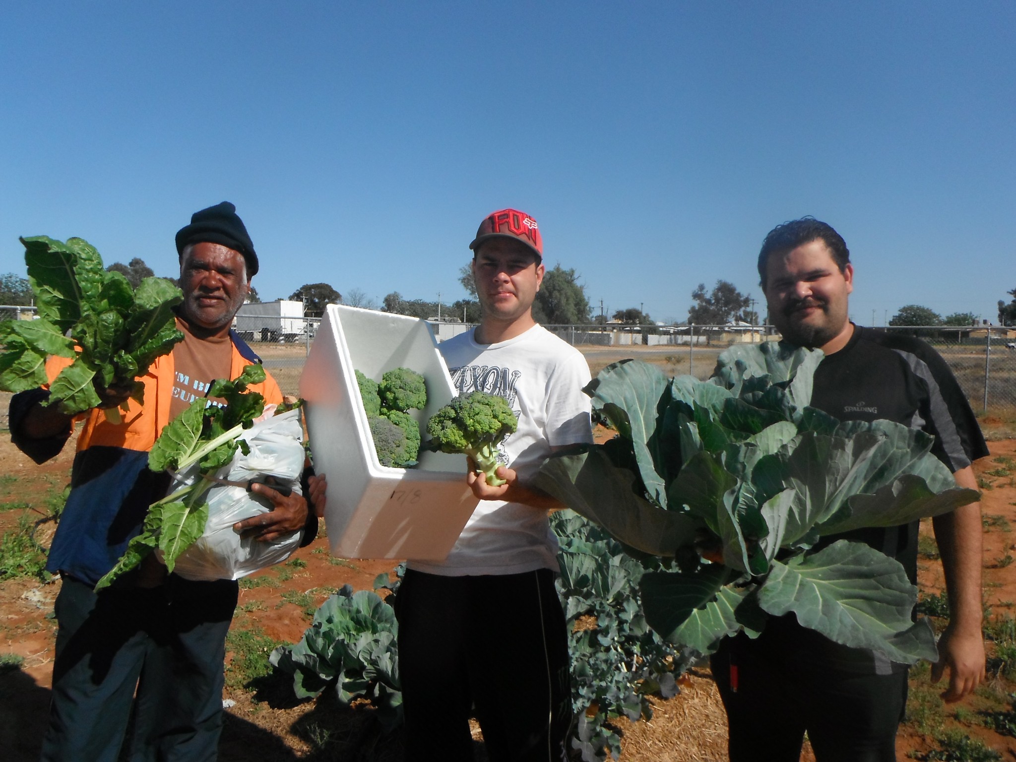 University of alberta indigenous studies image